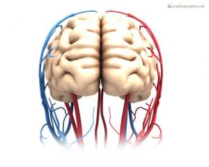 continue to play after a concussion and bloodflow