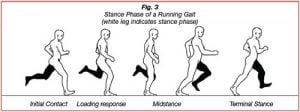 4 phases of running