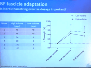 Hamstring Muscle Strength with Nordic Hamstring Exercise