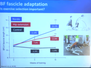 Hamstring Rehab Exercises: Nordic Hamstring Exercise vs Hip Extension for Increasing Muscle Length